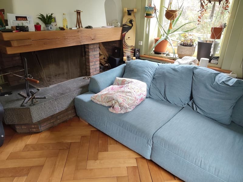 3-Bedroom Apartment in Winterthur City (2)