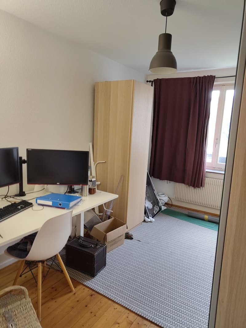 3-Bedroom Apartment in Winterthur City (4)