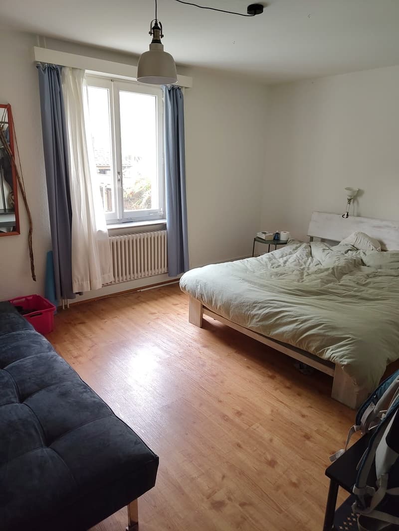 3-Bedroom Apartment in Winterthur City (8)