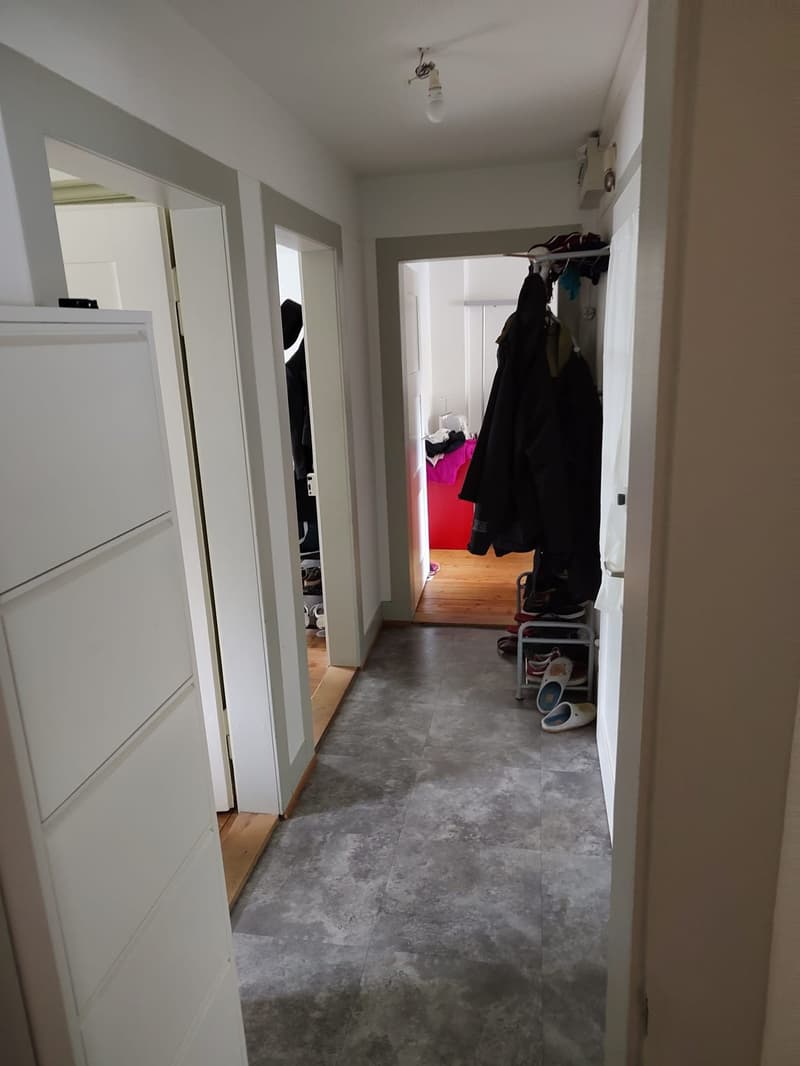 3-Bedroom Apartment in Winterthur City (3)