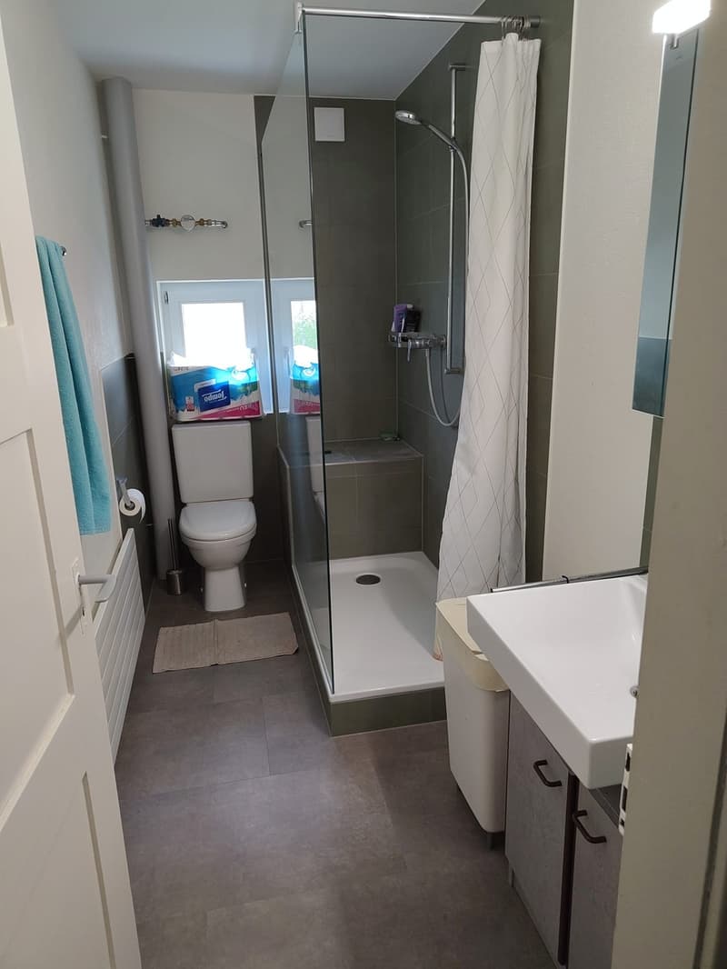 3-Bedroom Apartment in Winterthur City (7)