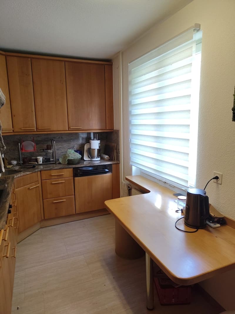 3-Bedroom Apartment in Winterthur City (6)