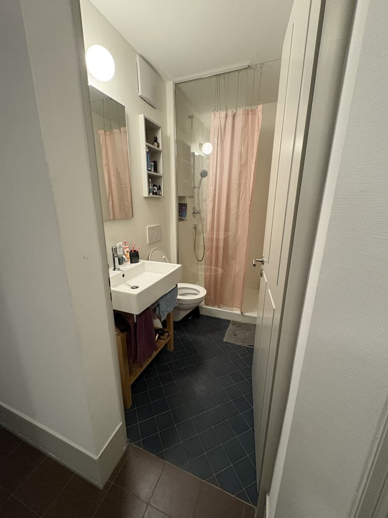Charmante 3-Zimmer Altbauwohnung im Bruchquartier  Untermiete von Mitte Juli bis Ende 2026 (6)