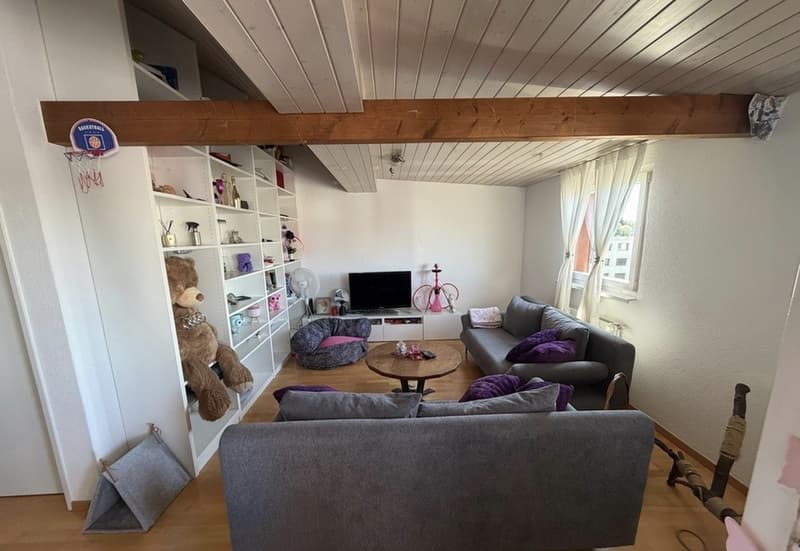 Appartamento carino e spazioso di 3.5 locali con caminetto e balcone ad Aarau Rohr (2)