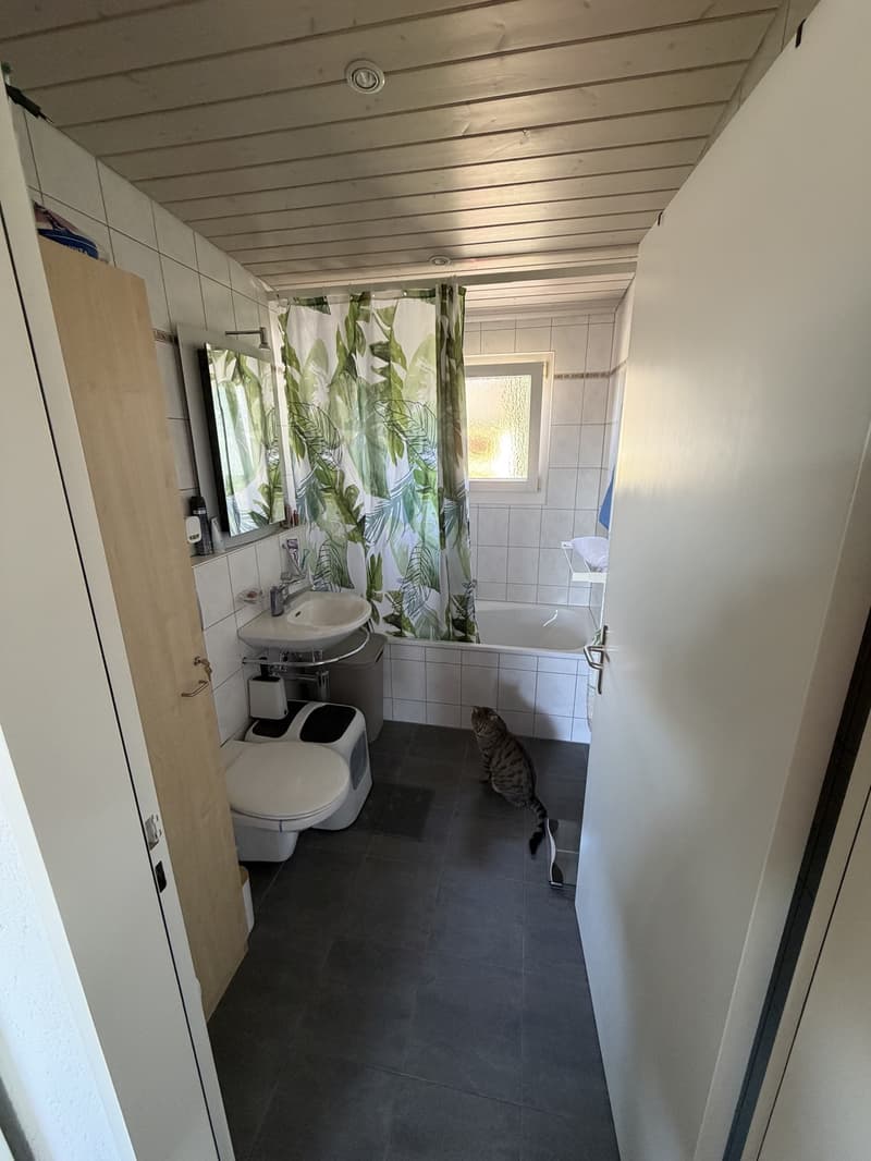 Appartamento carino e spazioso di 3.5 locali con caminetto e balcone ad Aarau Rohr (6)