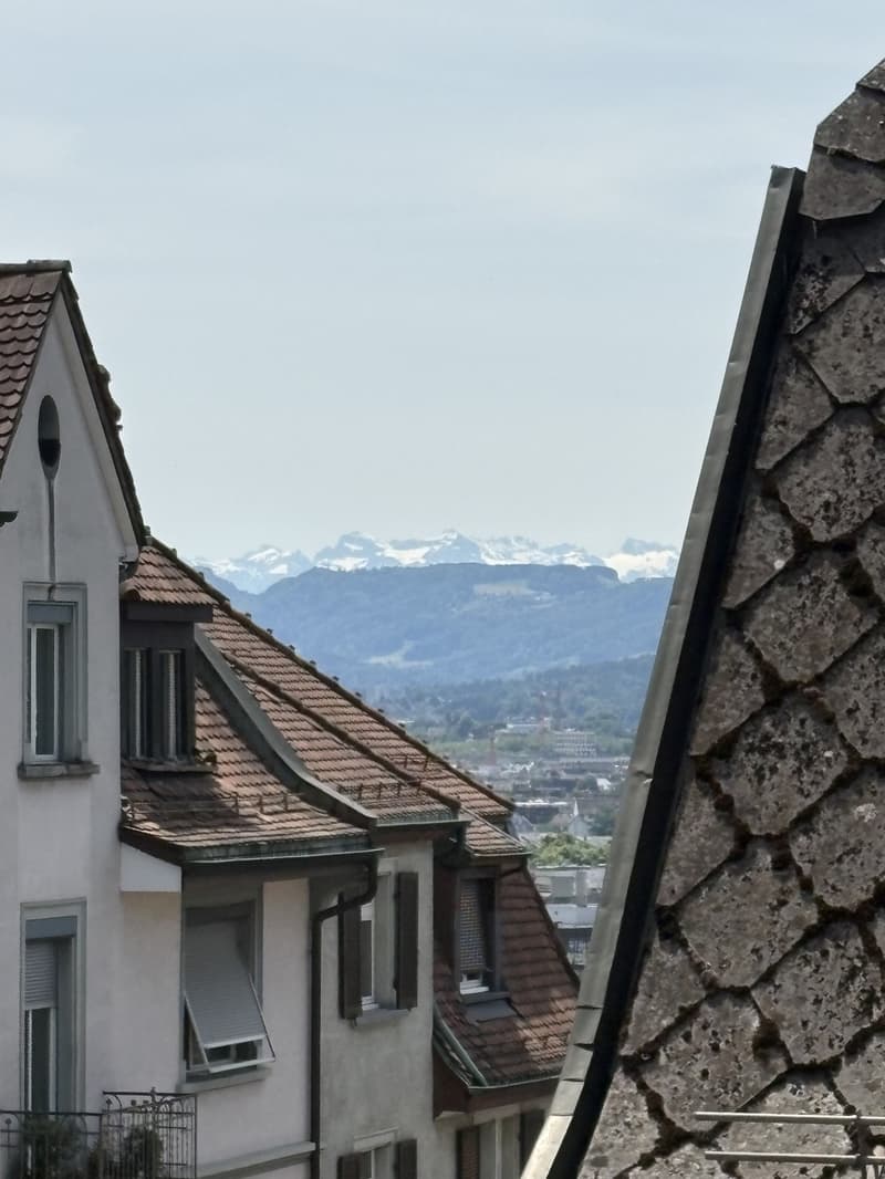2,5 locali a Wipkingen (2)