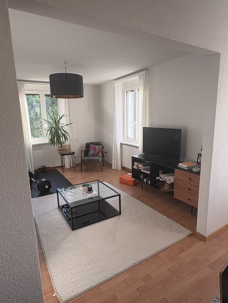 2,5 locali a Wipkingen (4)