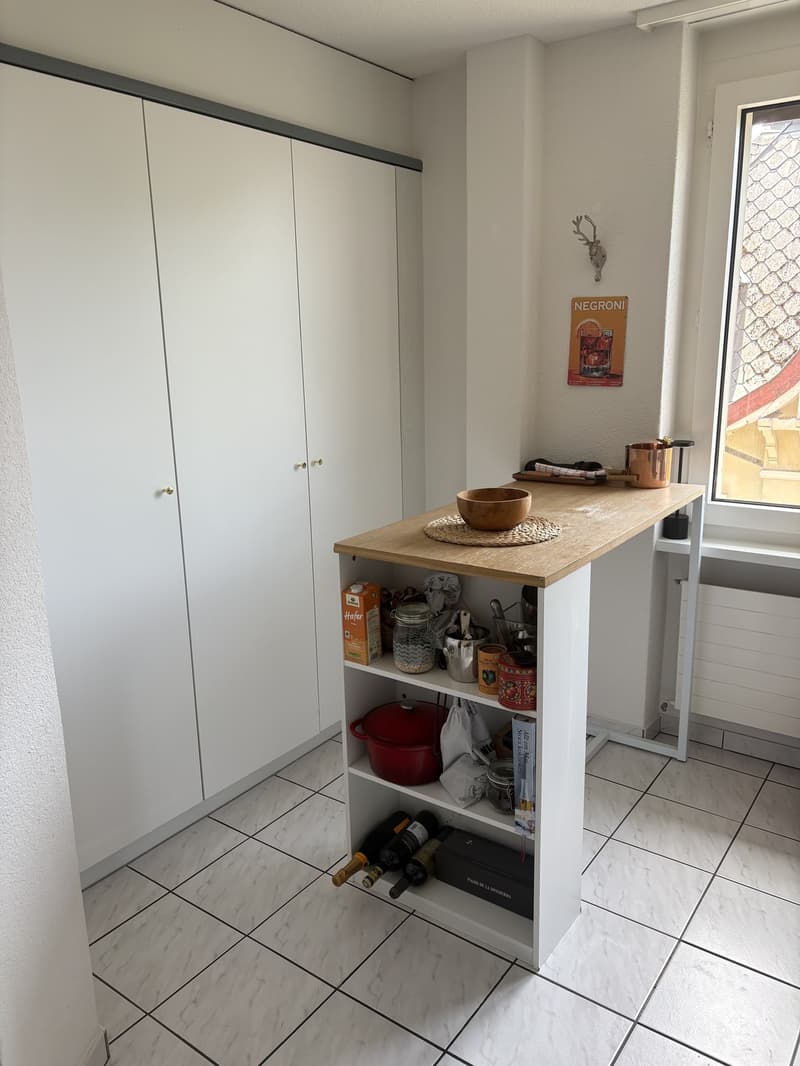 2,5 locali a Wipkingen (9)