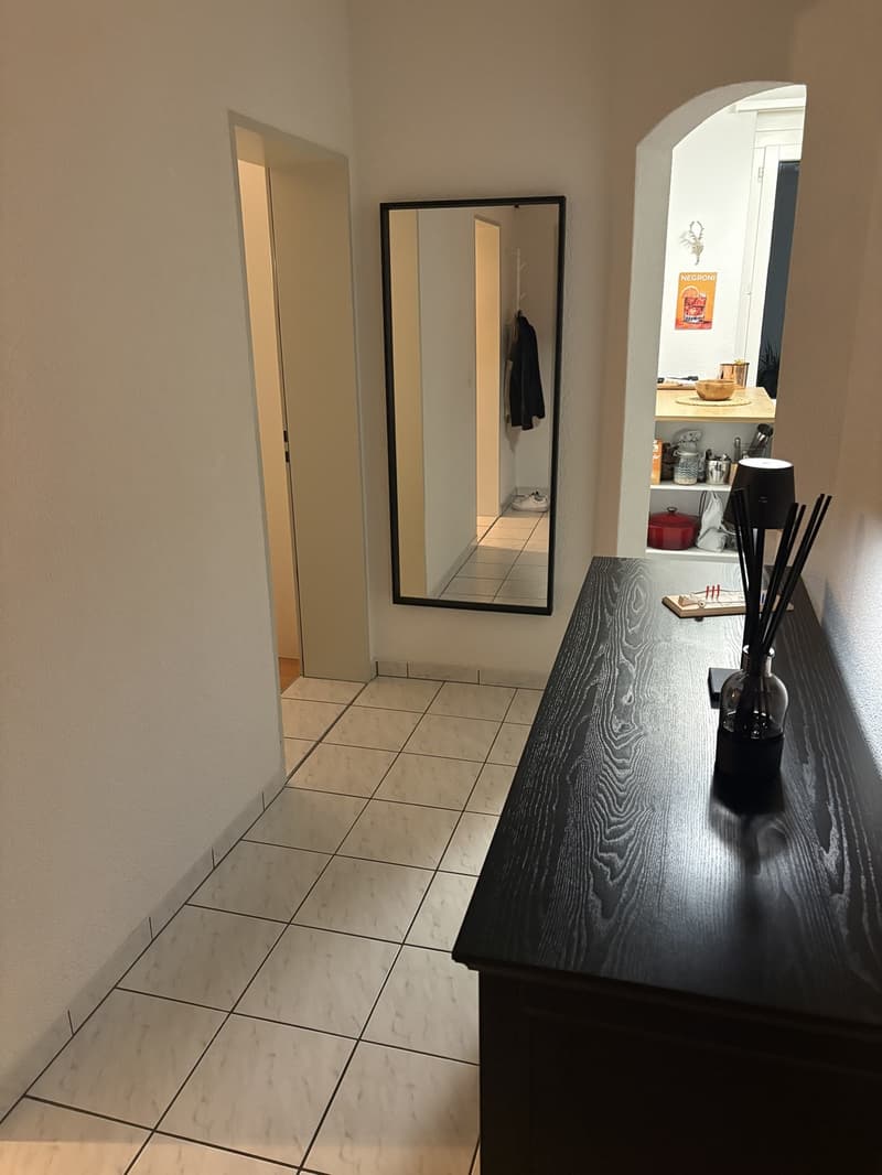 2,5 locali a Wipkingen (11)
