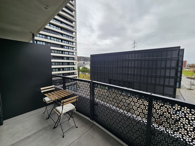 Möblierte 2.5-Zimmer-Wohnung mit umlaufendem 20m² Balkon nahe Zürich sofort bezugsbereit (2)