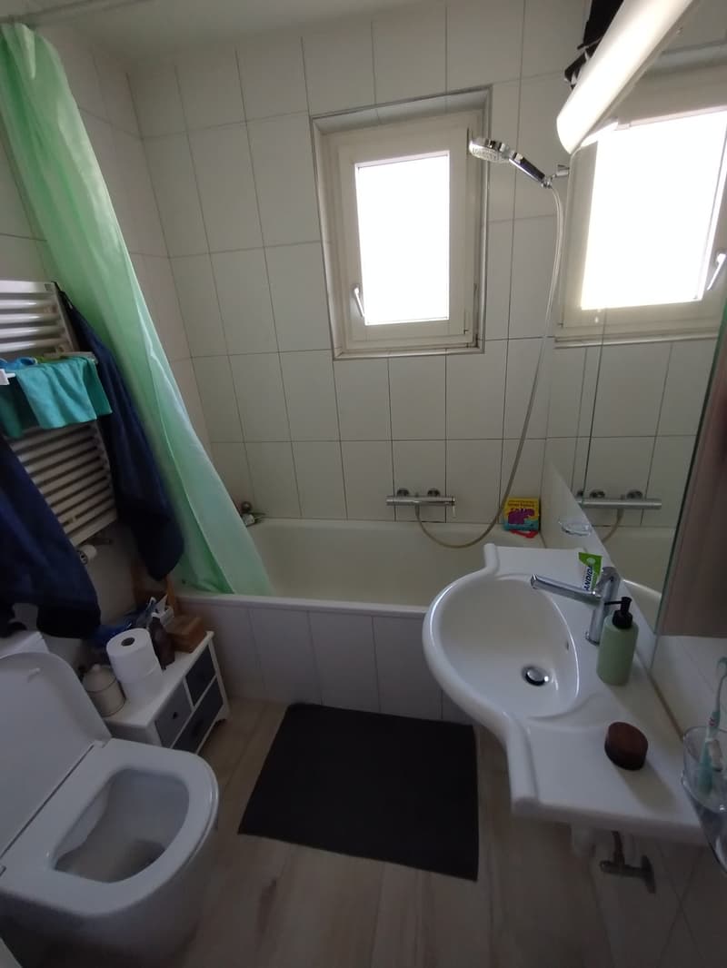 3 1/2 room apartment in Thalwil with large balcony (6)