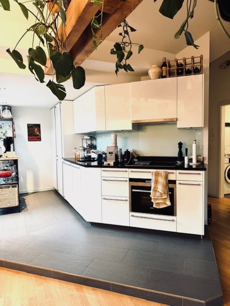 Helle 2-Zimmer-Wohnung mit eigener Terrasse  mitten in Zürich (befristet) (4)