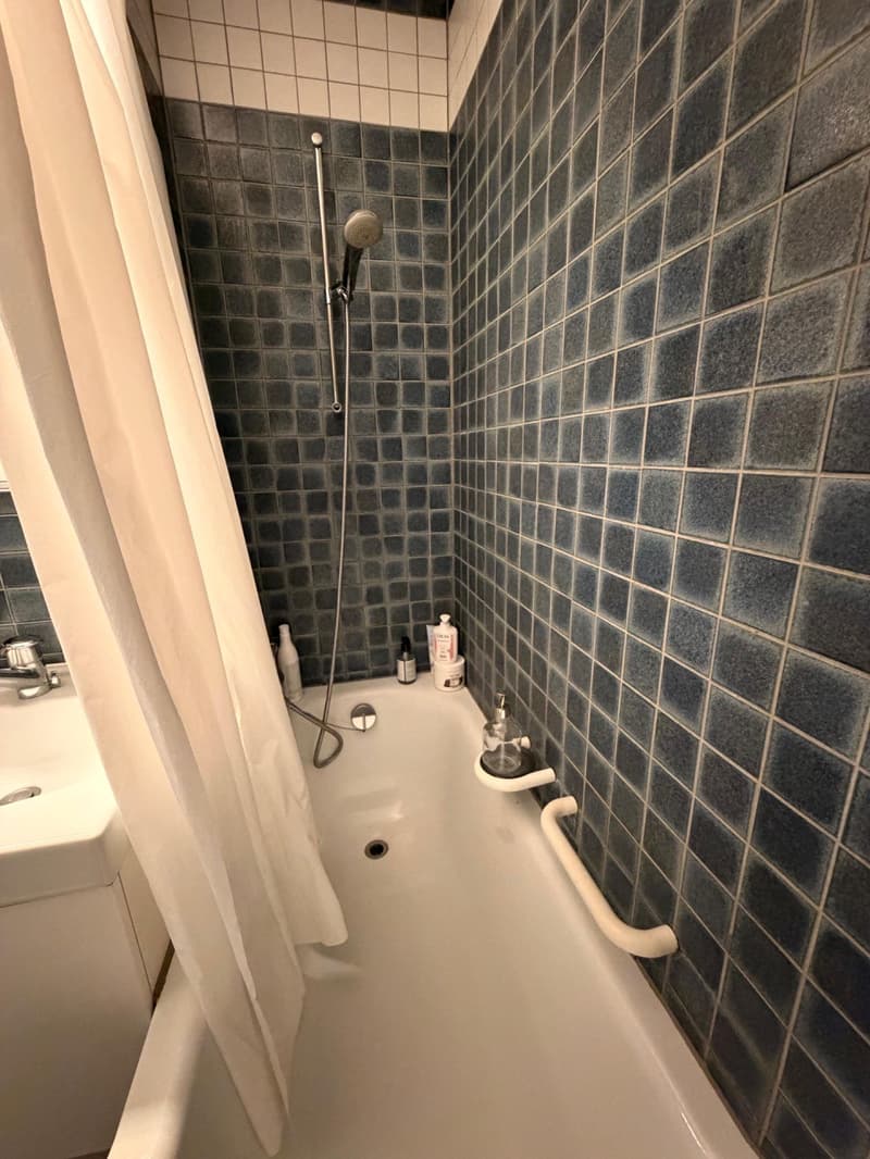 Appartamento maisonnette 4,5 locali a Zürich Triemli Subentro in affitto (Nachmieter) (11)