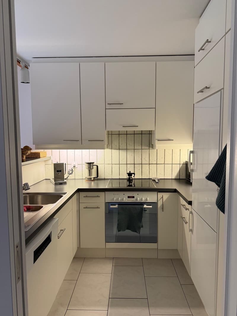 Appartamento maisonnette 4,5 locali a Zürich Triemli Subentro in affitto (Nachmieter) (7)