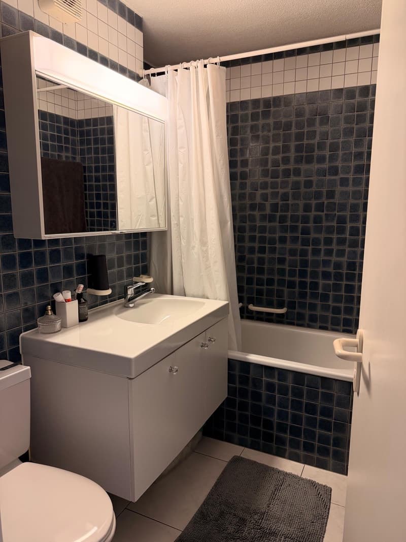 Appartamento maisonnette 4,5 locali a Zürich Triemli Subentro in affitto (Nachmieter) (10)