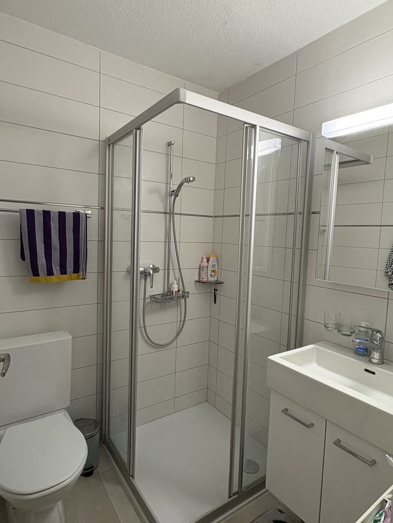 2.5-Room Apartment in Central Uster (5)
