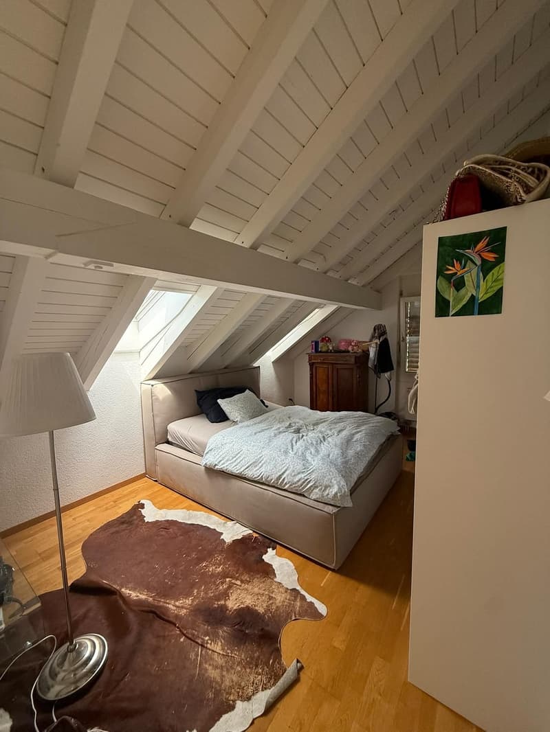 Appartement mansardé idyllique (5)