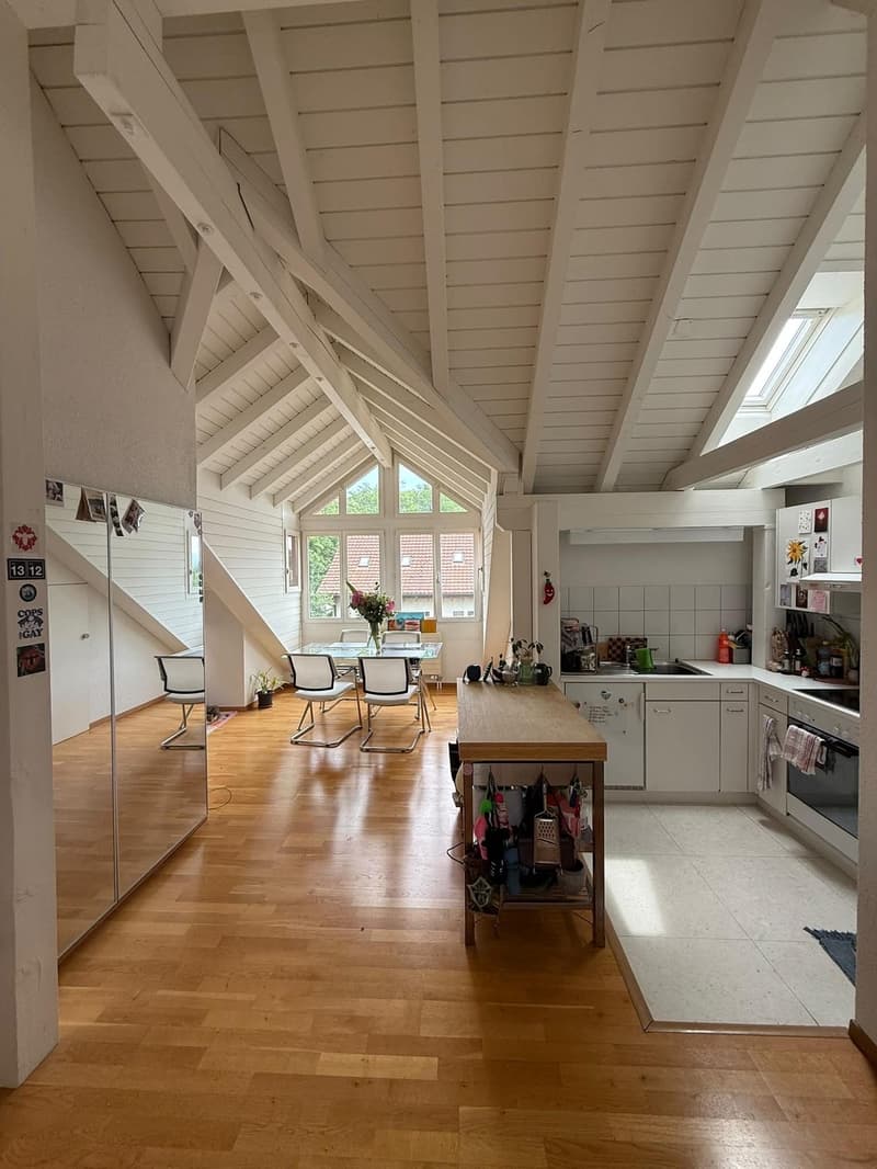Appartement mansardé idyllique (2)