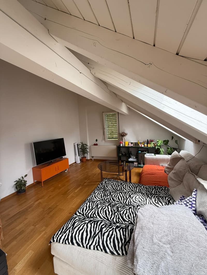Appartement mansardé idyllique (3)