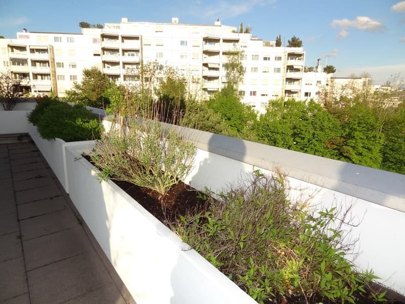 Charmante 4.5-Zimmerwohnung mit grosser Terrasse inkl. Tiefgaragenparkplatz in Adlikon b. Regensdorf (3)
