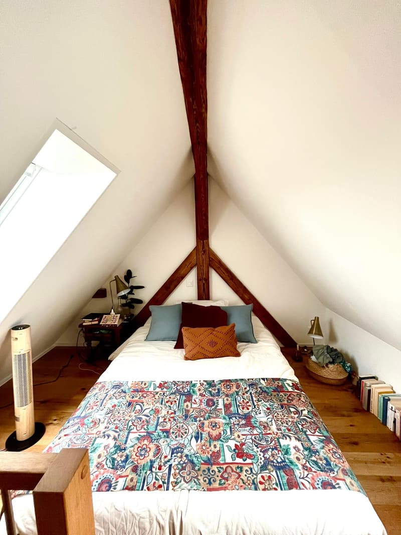 Wiedikon Loft (5)