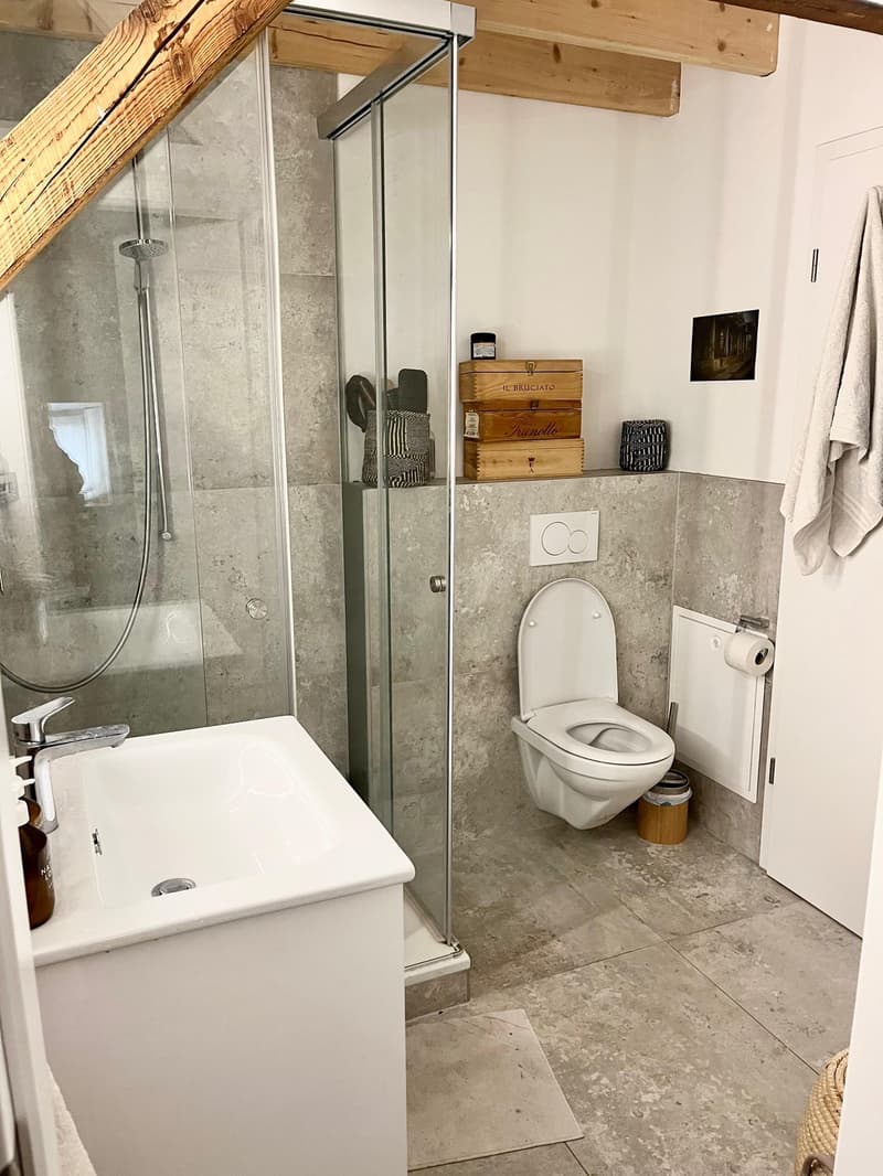 Wiedikon Loft (2)
