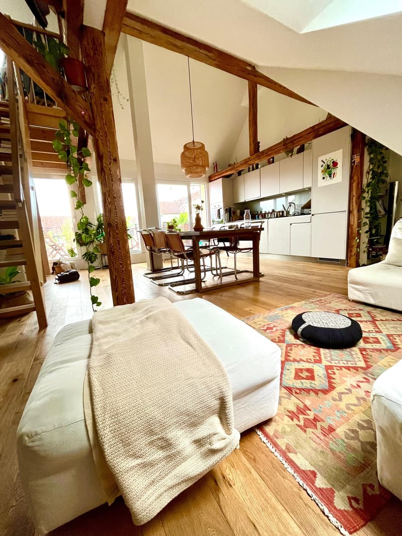 Wiedikon Loft (4)