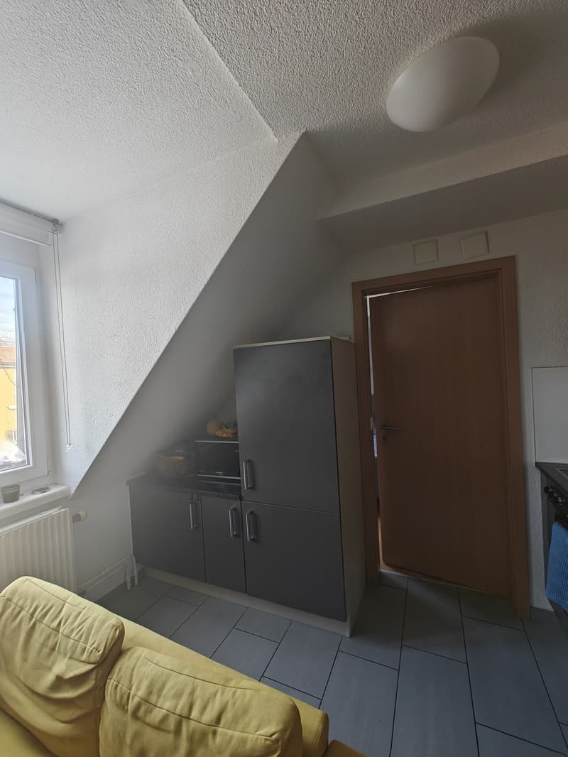Central located 2 rooms flat for the month of July (3)