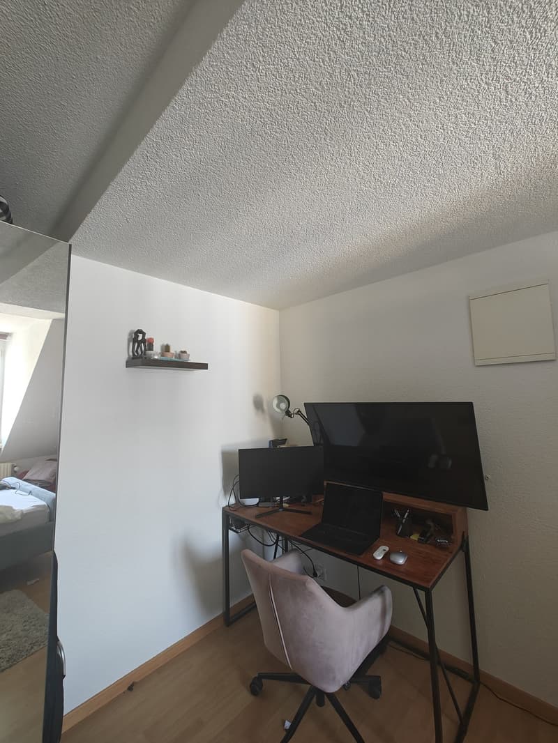 Central located 2 rooms flat for the month of July (6)