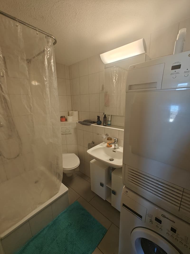 Central located 2 rooms flat for the month of July (4)