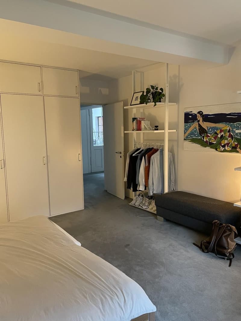Bellevue  Huge Room, sauna & private rooftop (3)