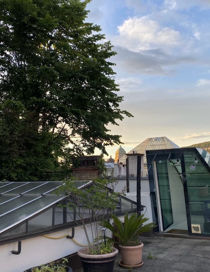 Bellevue  Huge Room, sauna & private rooftop (9)