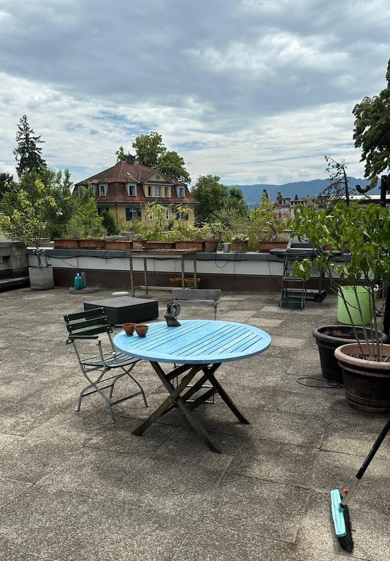 Bellevue  Huge Room, sauna & private rooftop (10)