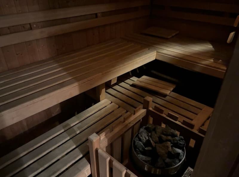 Bellevue  Huge Room, sauna & private rooftop (13)