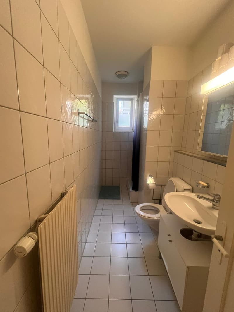 Sublet in the heart of Zürich (3)