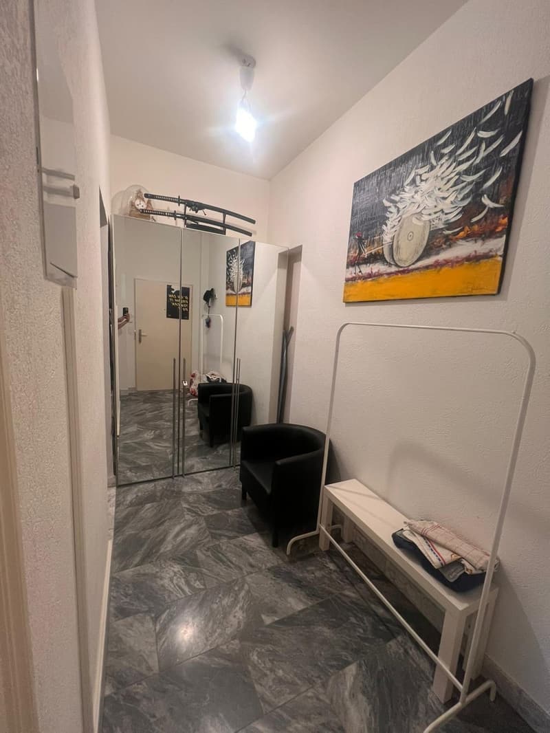 Sublet in the heart of Zürich (2)