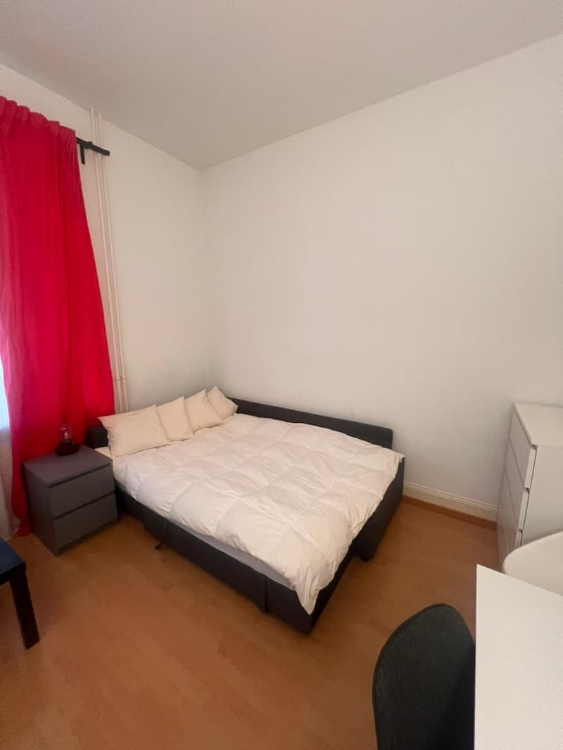 Sublet in the heart of Zürich (7)
