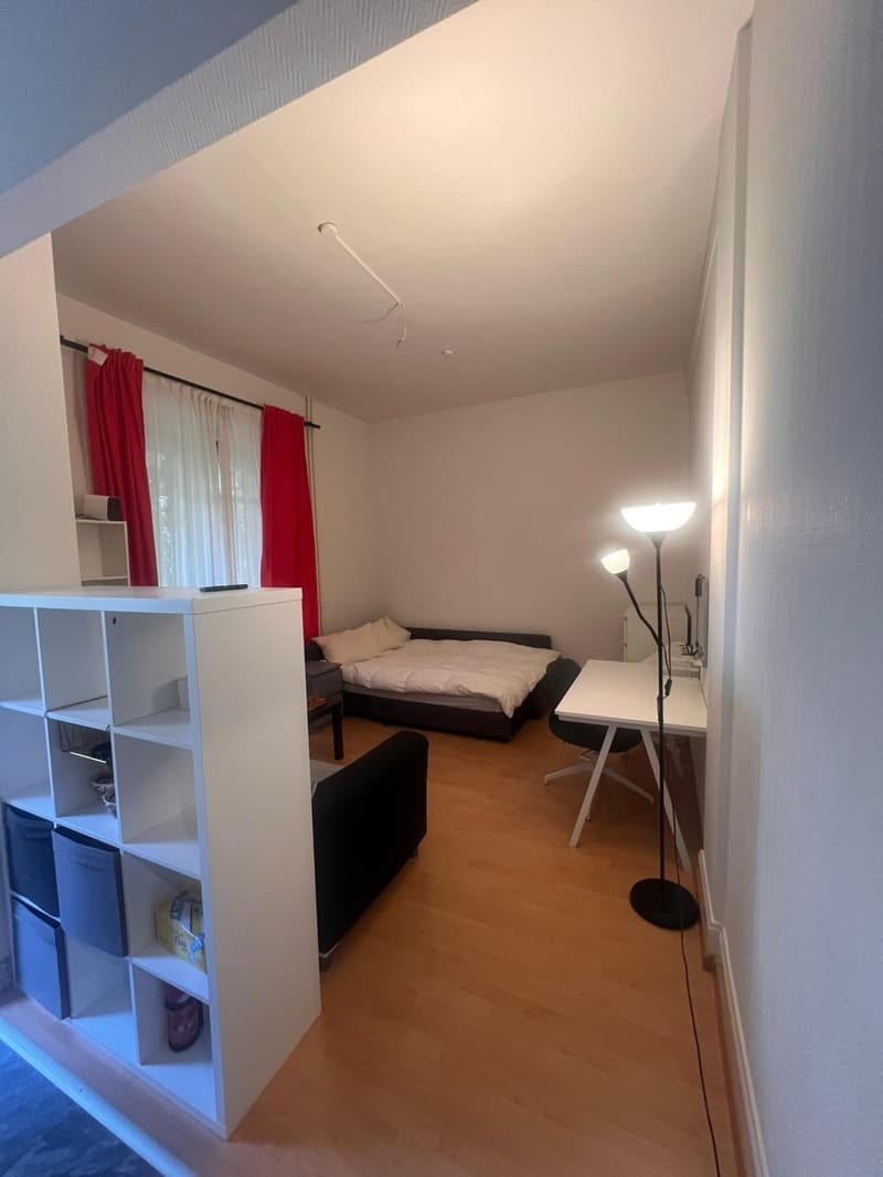 Sublet in the heart of Zürich (5)