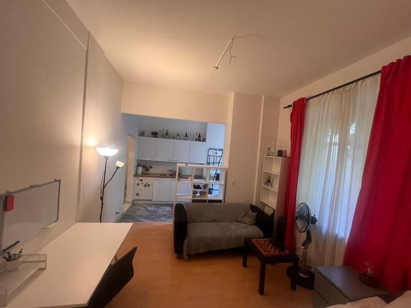 Sublet in the heart of Zürich (4)