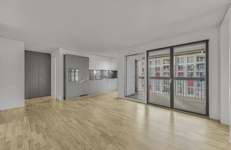 3.5 rooms apartment in Schlieren for subrent 1Y (2)