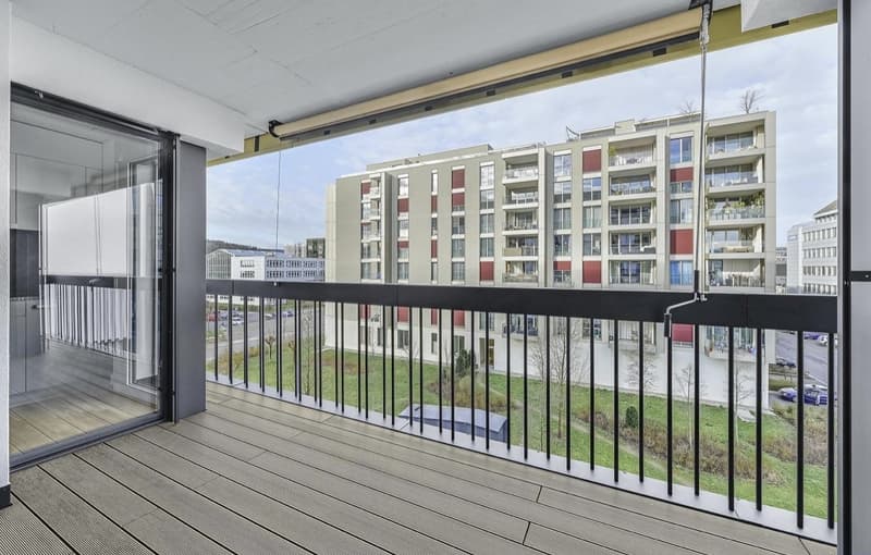 3.5 rooms apartment in Schlieren for subrent 1Y (6)