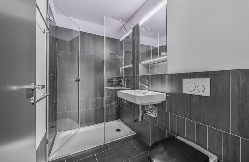 3.5 rooms apartment in Schlieren for subrent 1Y (4)