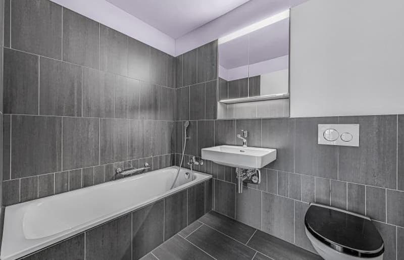 3.5 rooms apartment in Schlieren for subrent 1Y (8)