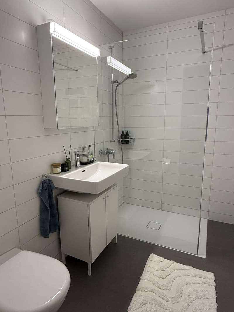 Appartamento moderno 2.5 locali con balcone soleggiato a Dübendorf (3)