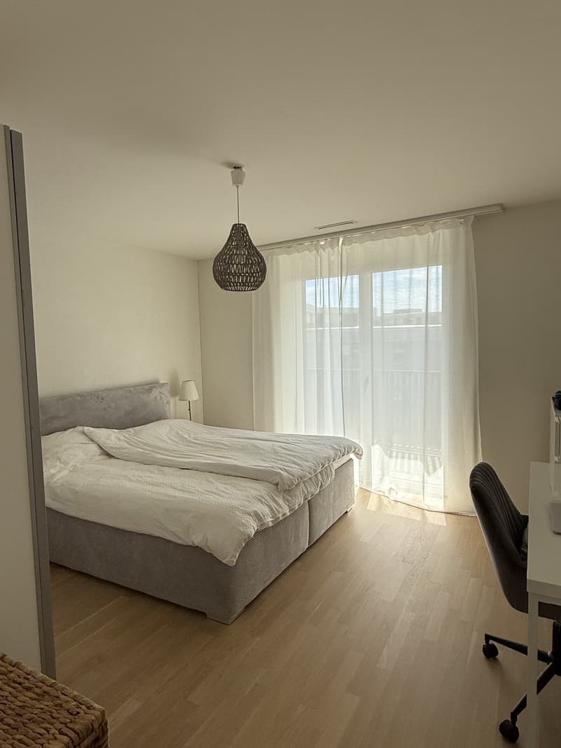 Appartamento moderno 2.5 locali con balcone soleggiato a Dübendorf (2)