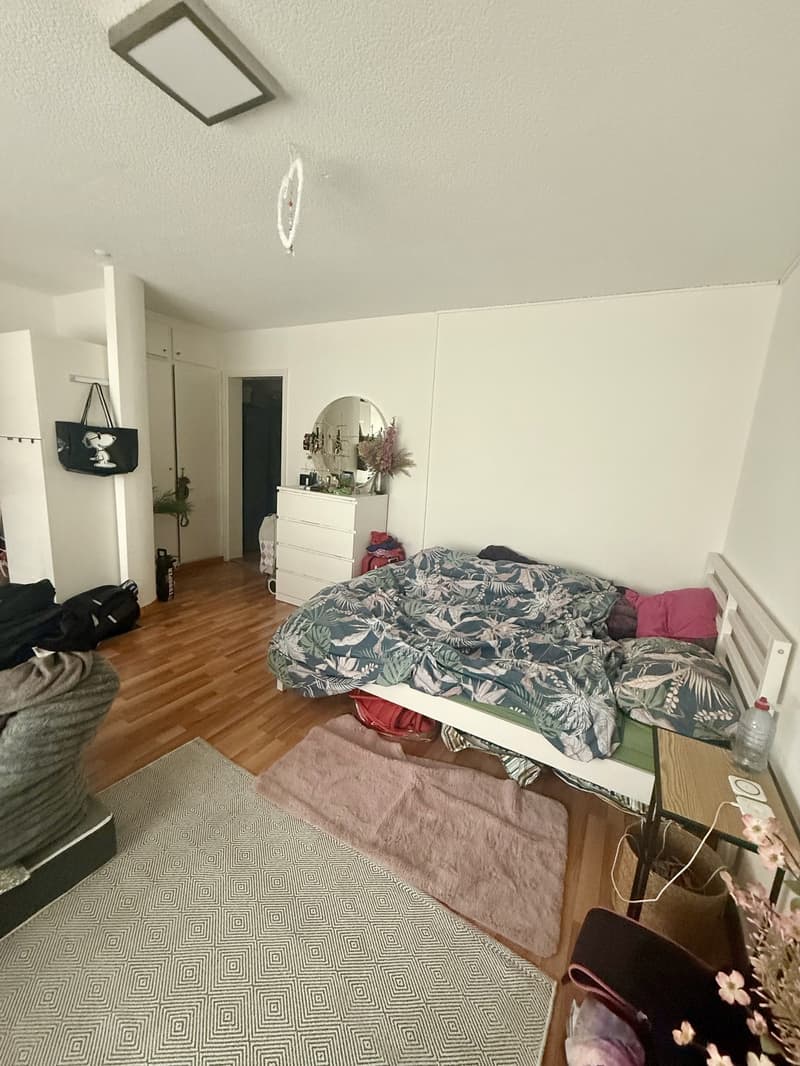1 Camera da letto, appartamento, 8003 Zurigo (3)
