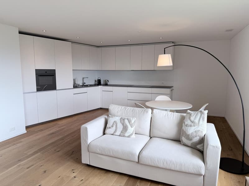 2½-Zimmer-Wohnung zur befristeten Vermietung (2)