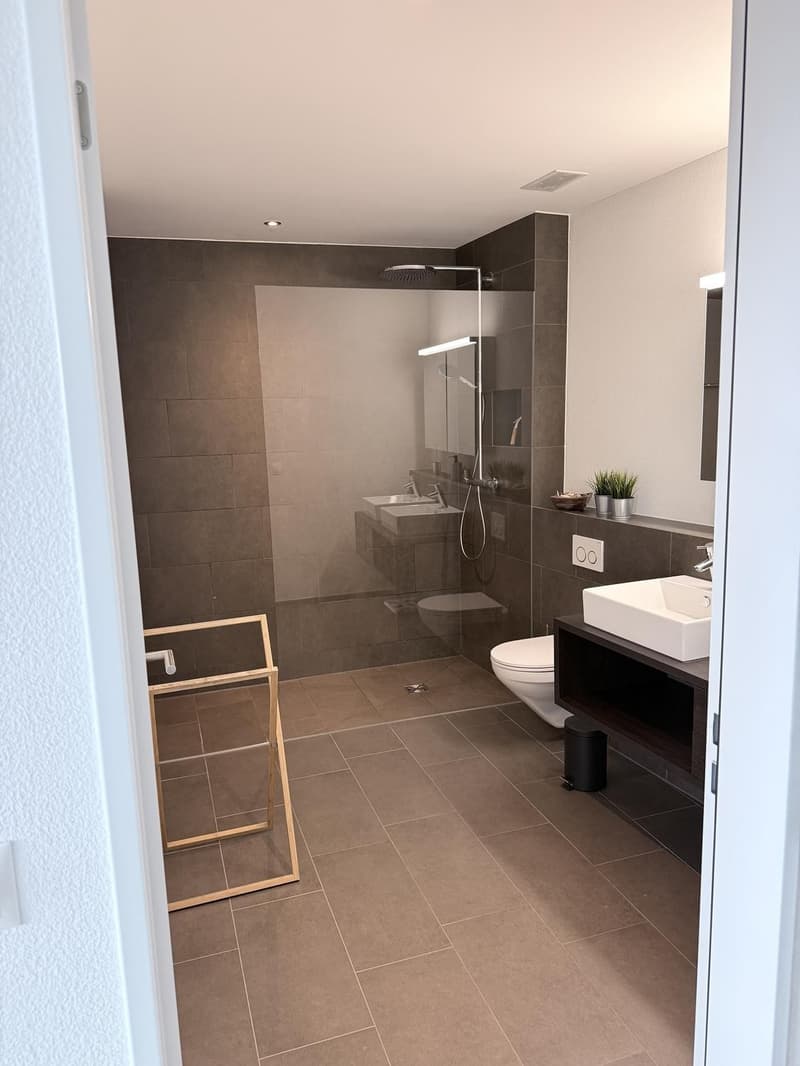 2½-Zimmer-Wohnung zur befristeten Vermietung (11)