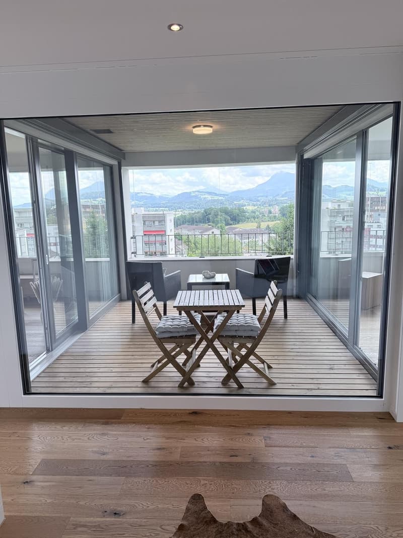 2½-Zimmer-Wohnung zur befristeten Vermietung (4)