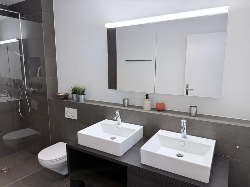 2½-Zimmer-Wohnung zur befristeten Vermietung (12)